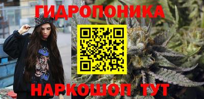 крисы Ставрополь
