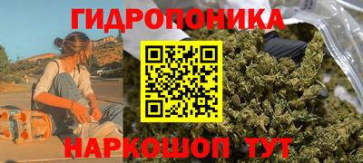 крисы Ставрополь